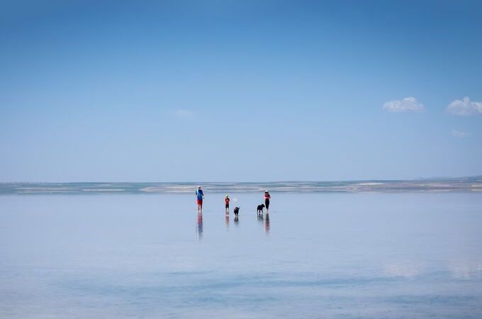 Salt Lake: Discover Its Natural Wonders