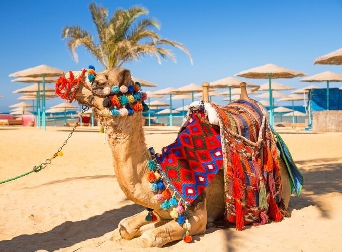 Hurghada: Your Ultimate Red Sea Travel Paradise