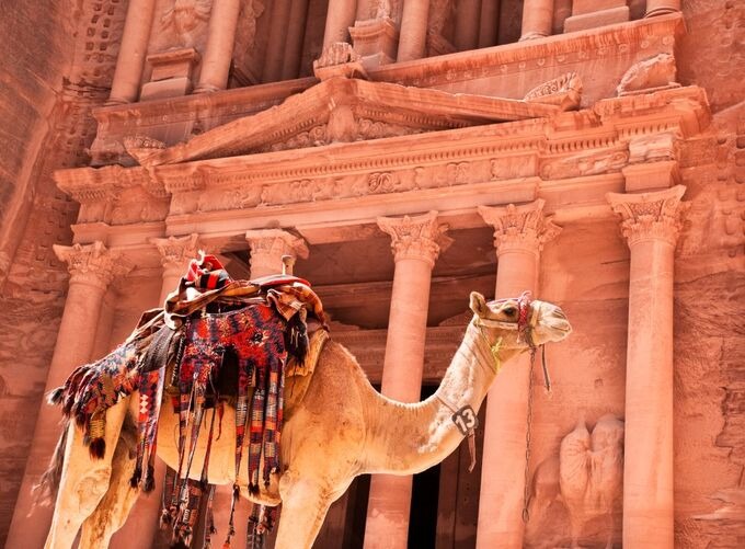 Petra’s camel caravan resting against the backdrop of ancient ruins